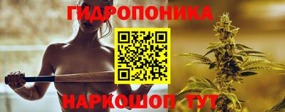 стафф Чебоксары
