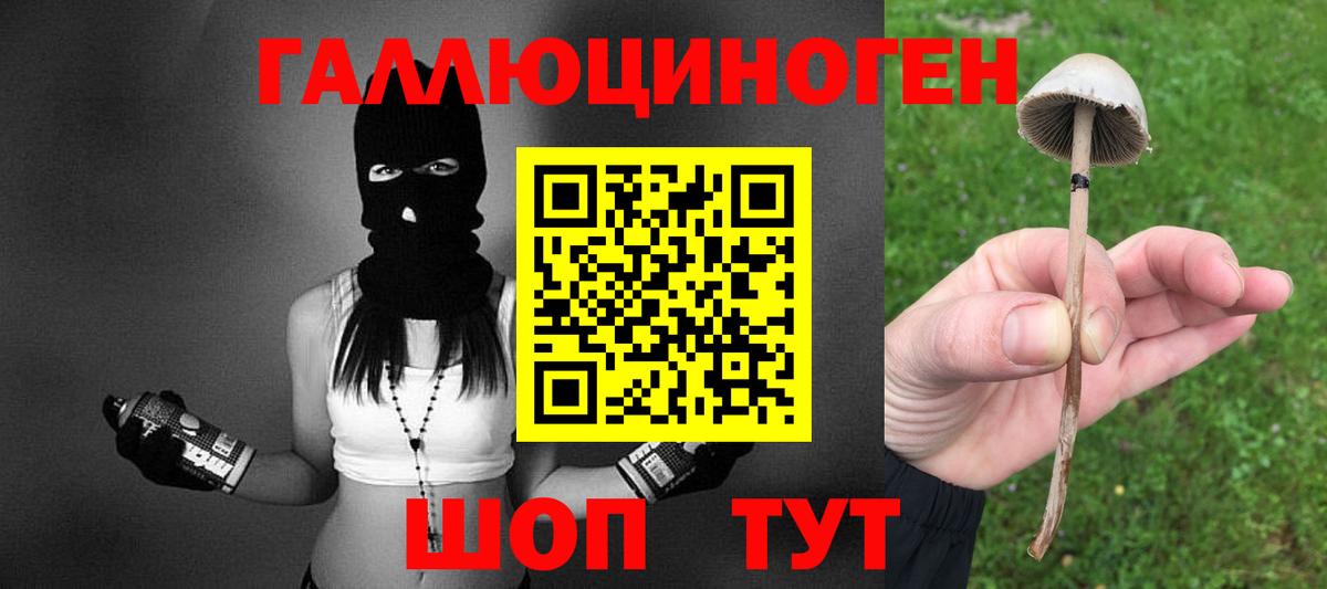 Альметьевск  Псилоцибиновые грибы Magic Shrooms  Вход с VPN  Псилоцибиновые грибы Cubensis 
