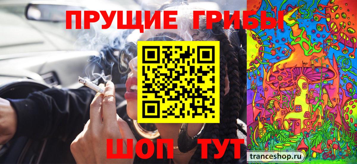 Псилоцибиновые грибы Psilocybe Альметьевск